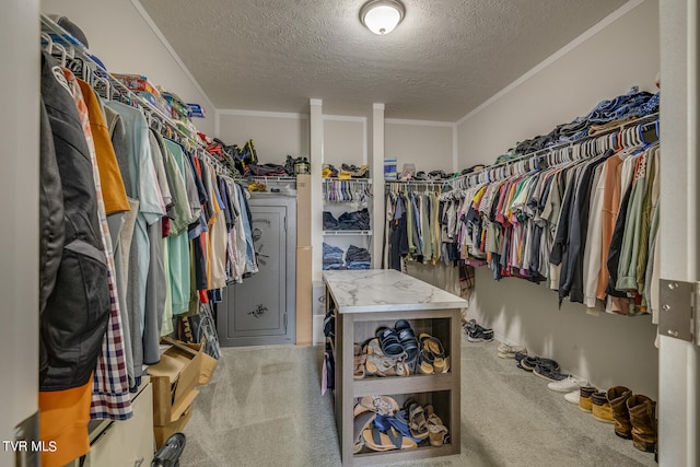 spacious closet featuring carpet flooring