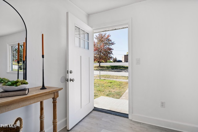 entrance foyer with light hardwood / wood-style flooring