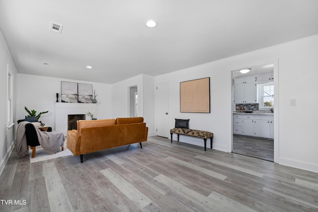 living room with sink and light hardwood / wood-style floors