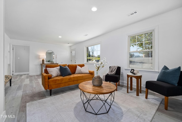 living room featuring light hardwood / wood-style floors