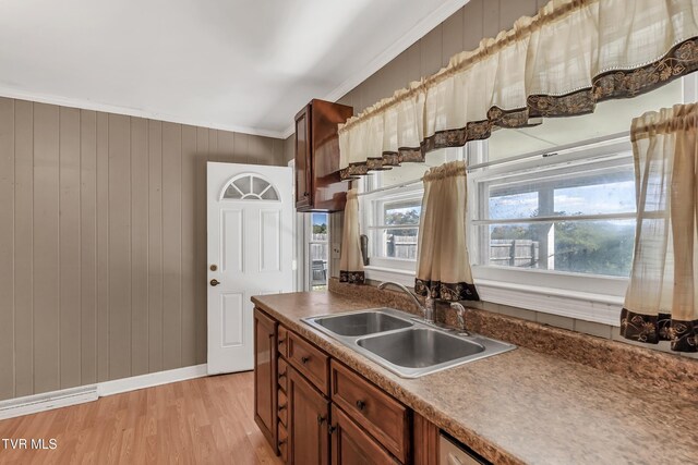 kitchen featuring light hardwood / wood-style floors, wood walls, ornamental molding, and sink