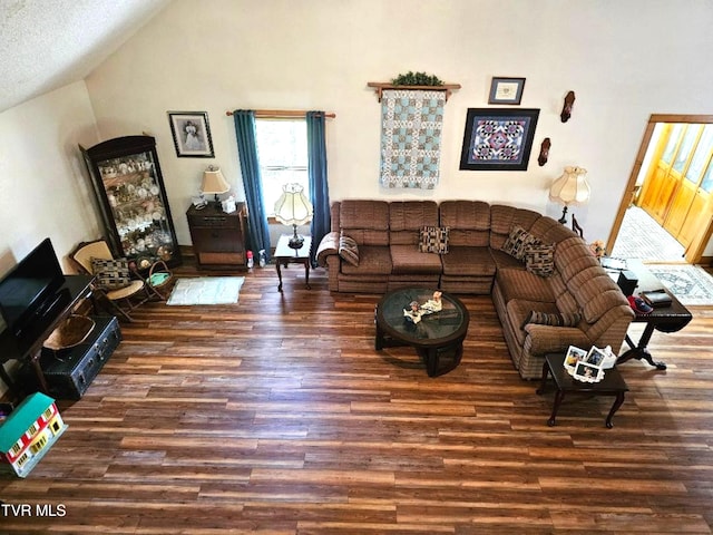 living room with dark hardwood / wood-style floors and high vaulted ceiling