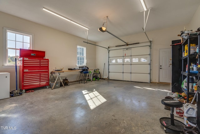 garage with a garage door opener