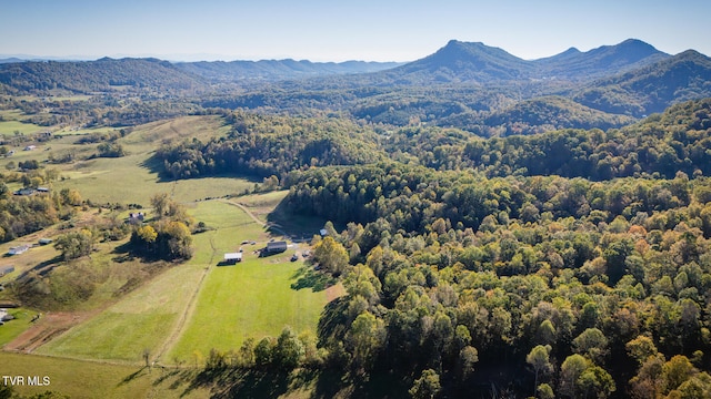 bird's eye view with a mountain view