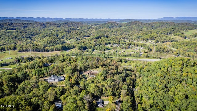 birds eye view of property featuring a mountain view