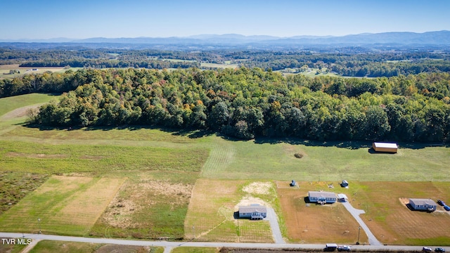 aerial view with a rural view and a mountain view