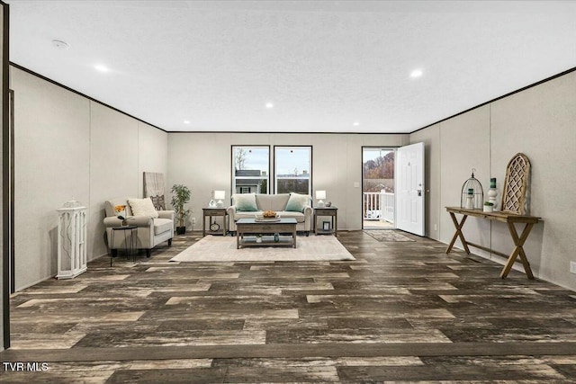 living room featuring crown molding and dark wood-type flooring