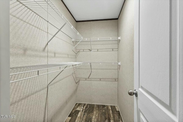 spacious closet featuring dark wood-type flooring