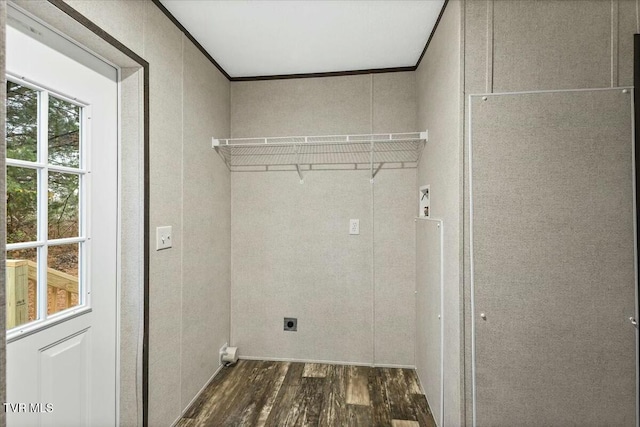 laundry area with electric dryer hookup, dark hardwood / wood-style floors, and crown molding