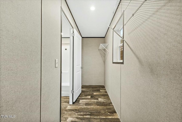 hall with dark hardwood / wood-style flooring