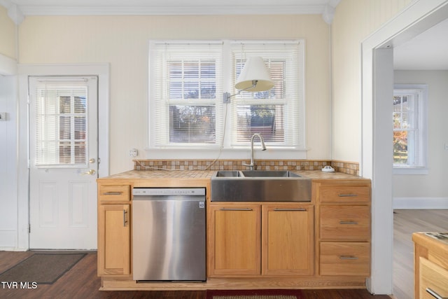 kitchen featuring ornamental molding, stainless steel dishwasher, sink, and dark hardwood / wood-style flooring