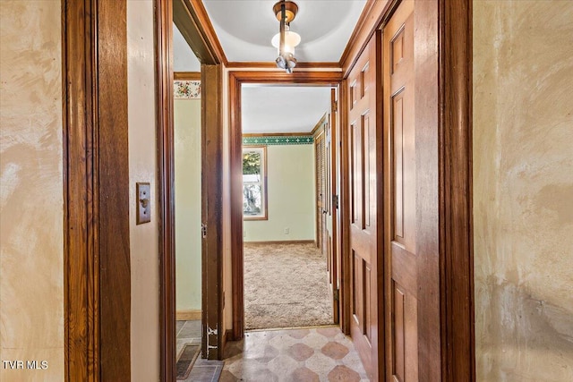 hall with ornamental molding and carpet floors