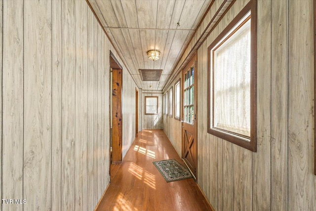 hall featuring light hardwood / wood-style flooring, wood walls, a healthy amount of sunlight, and wood ceiling