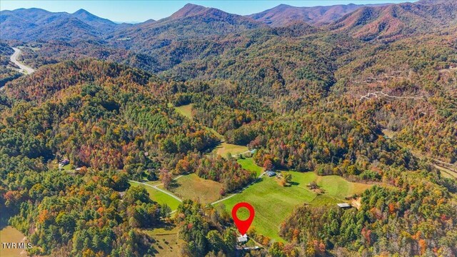 drone / aerial view featuring a mountain view