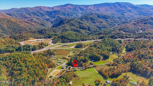 birds eye view of property featuring a mountain view