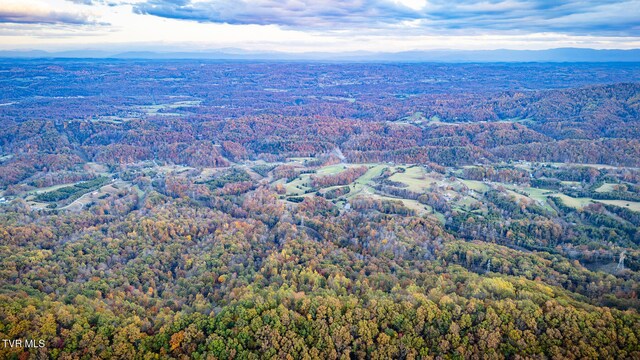 7084 Lone Star Rd Unit 2, Kingsport, TN 37660 - photo 51