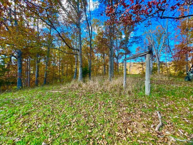 7084 Lone Star Rd Unit 2, Kingsport, TN 37660 - photo 43