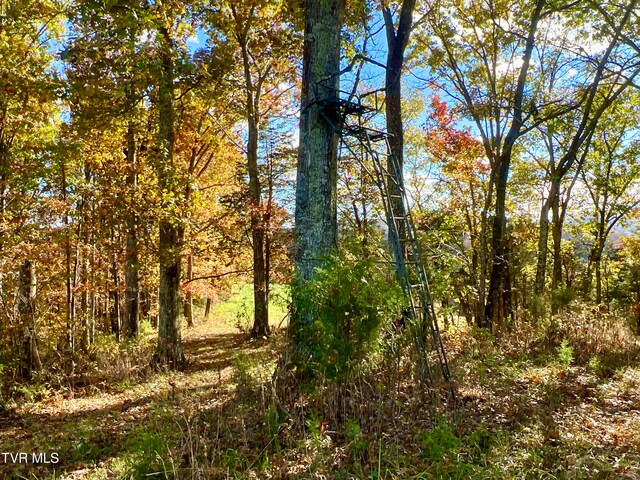 7084 Lone Star Rd Unit 2, Kingsport, TN 37660 - photo 42
