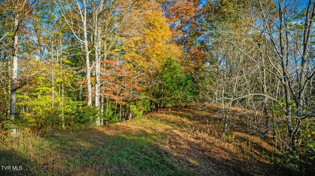 7084 Lone Star Rd Unit 2, Kingsport, TN 37660 - photo 38