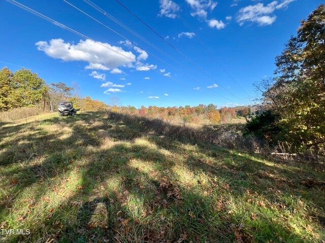 7084 Lone Star Rd Unit 2, Kingsport, TN 37660 - photo 36