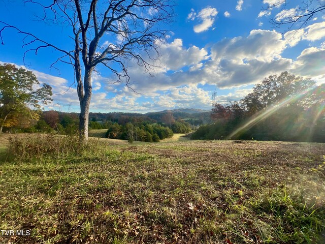 7084 Lone Star Rd Unit 2, Kingsport, TN 37660 - photo 34