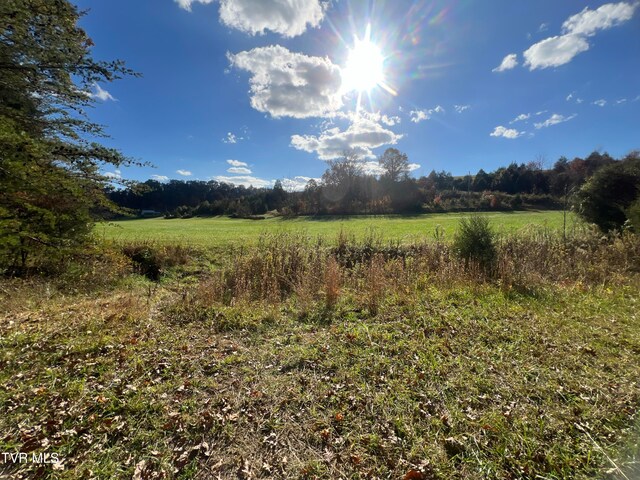 7084 Lone Star Rd Unit 2, Kingsport, TN 37660 - photo 31