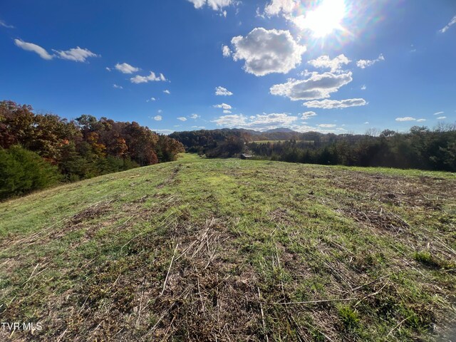 7084 Lone Star Rd Unit 2, Kingsport, TN 37660 - photo 29