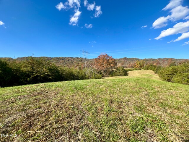 7084 Lone Star Rd Unit 2, Kingsport, TN 37660 - photo 28