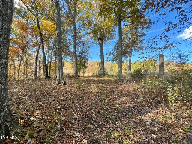 7084 Lone Star Rd Unit 2, Kingsport, TN 37660 - photo 25