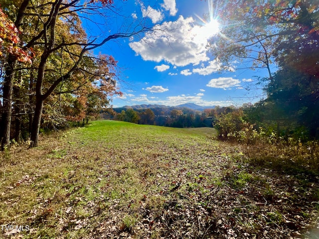 7084 Lone Star Rd Unit 2, Kingsport, TN 37660 - photo 24