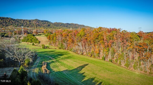 7084 Lone Star Rd Unit 2, Kingsport, TN 37660 - photo 23