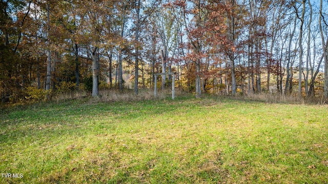 7084 Lone Star Rd Unit 2, Kingsport, TN 37660 - photo 22
