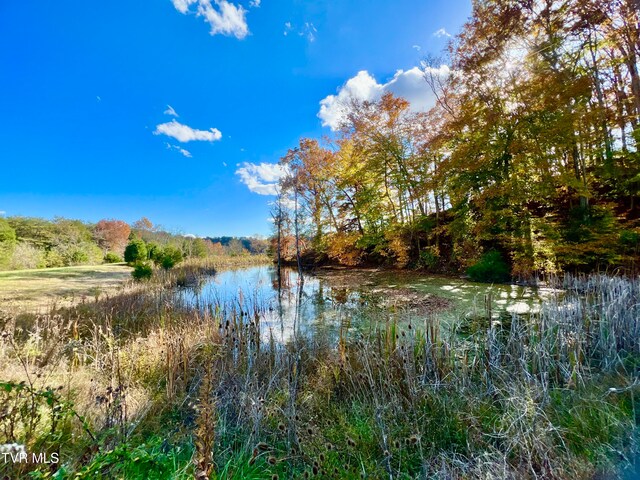 7084 Lone Star Rd Unit 2, Kingsport, TN 37660 - photo 19