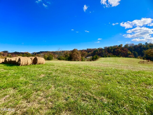 7084 Lone Star Rd Unit 2, Kingsport, TN 37660 - photo 13