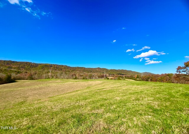 7084 Lone Star Rd Unit 2, Kingsport, TN 37660 - photo 12