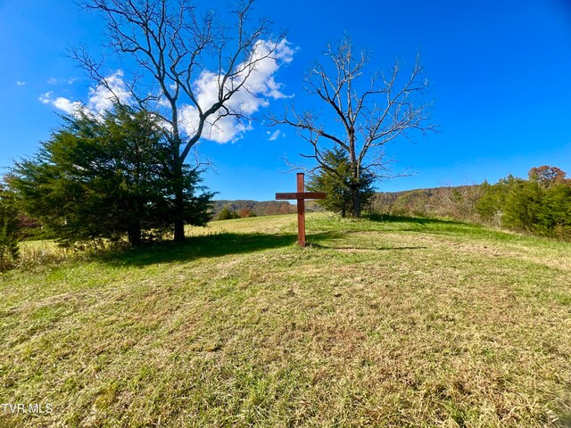 7084 Lone Star Rd Unit 2, Kingsport, TN 37660 - photo 11