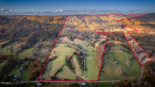 7084 Lone Star Rd Unit 2, Kingsport, TN 37660 - photo 6