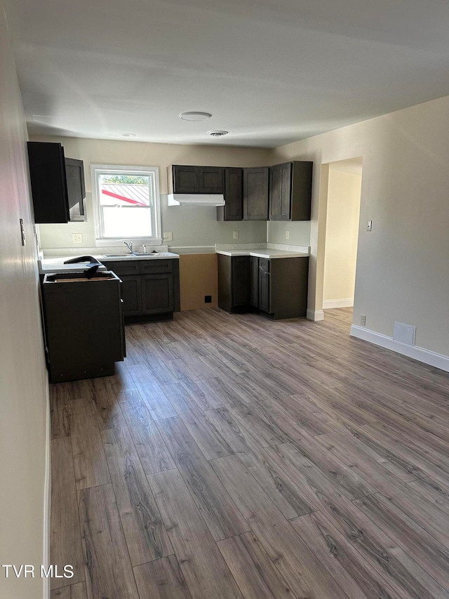 kitchen featuring light hardwood / wood-style floors, sink, and dark brown cabinets