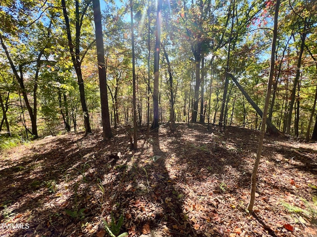 view of local wilderness