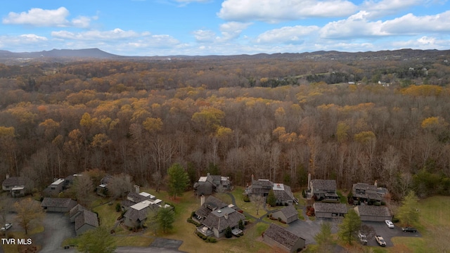 birds eye view of property with a mountain view