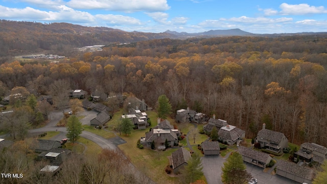 birds eye view of property featuring a mountain view