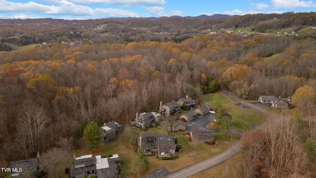 bird's eye view featuring a mountain view