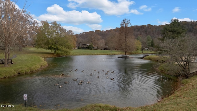 view of water feature