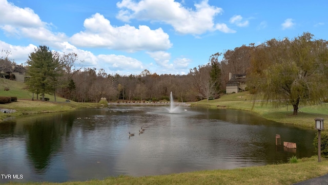 water view