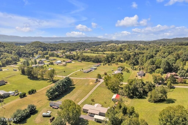 bird's eye view with a mountain view and a rural view