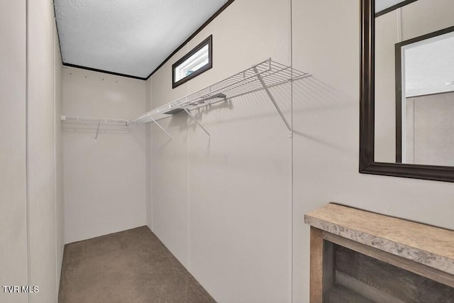 walk in closet featuring carpet