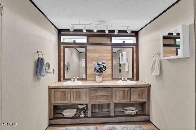 bathroom with track lighting, hardwood / wood-style flooring, crown molding, vanity, and a textured ceiling