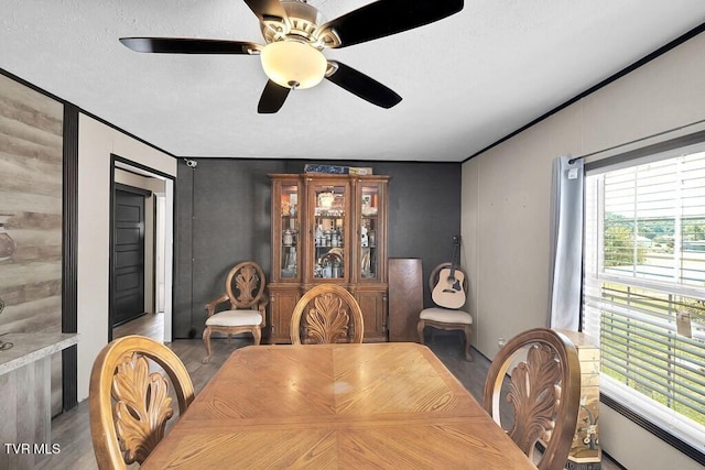 dining room featuring ceiling fan, ornamental molding, and wood finished floors