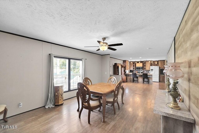 dining space with light hardwood / wood-style floors, a textured ceiling, and ceiling fan