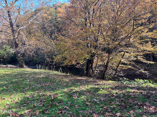 view of local wilderness featuring a water view